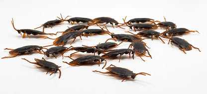 5-50Pcs Funny Cockroaches Joke Decoration Props Rubber Toy Gags Practical Jokes Toys Horrifying Simulation Plastic Centipede - Square Deal Me