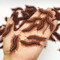 5-50Pcs Funny Cockroaches Joke Decoration Props Rubber Toy Gags Practical Jokes Toys Horrifying Simulation Plastic Centipede - Square Deal Me